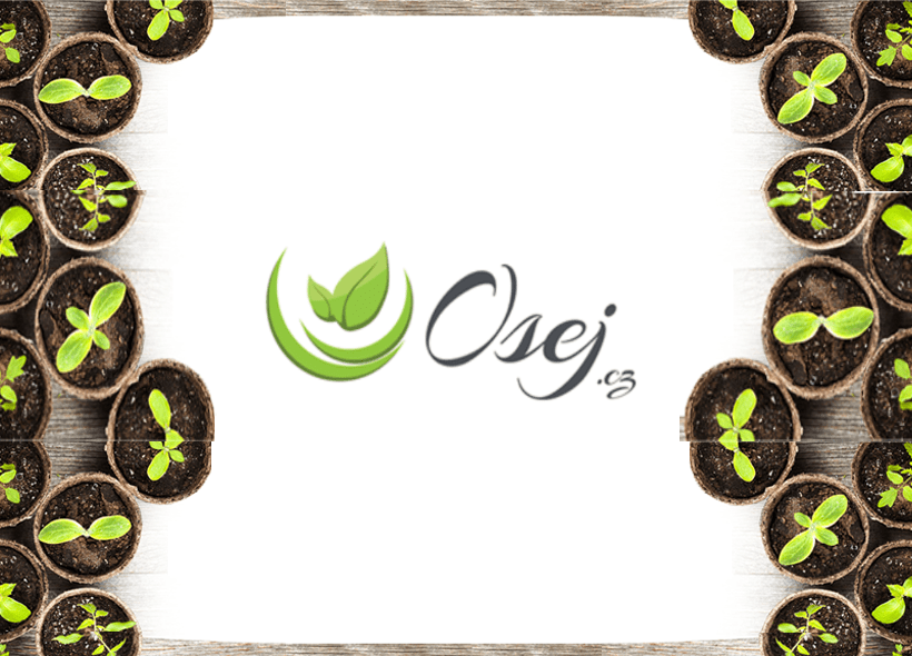 Osej.cz